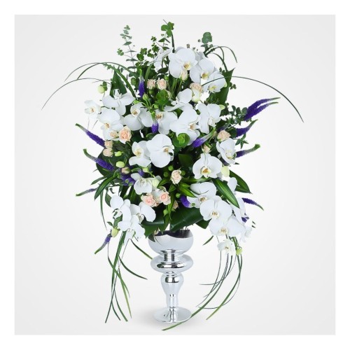 Royal Orchids Flower Vase